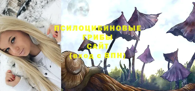 Галлюциногенные грибы Magic Shrooms  наркотики  Катайск 